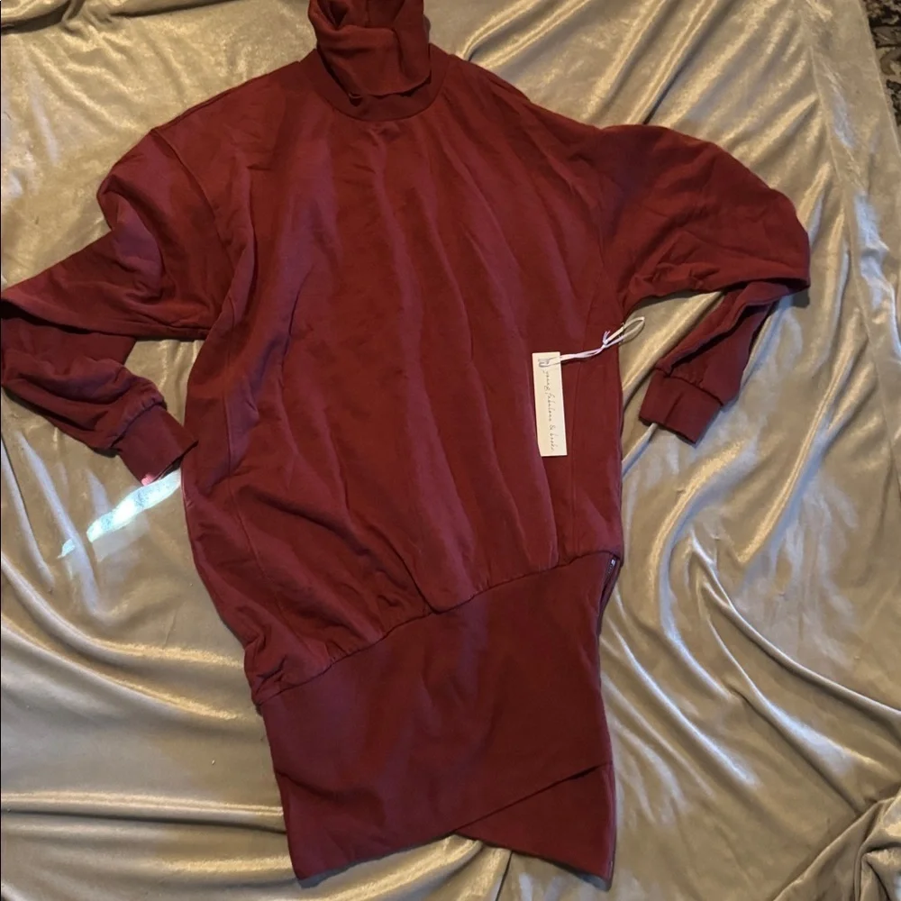 Young Fabulous & Broke Maroon Asymmetrical Turtleneck Dress XS NWT $178 - Picture 2 of 6
